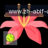 安博体育 logo