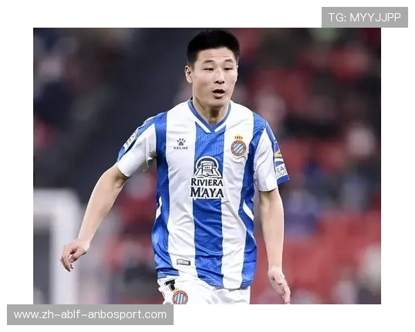 德甲球队是否真的有意引进中国球员武磊？